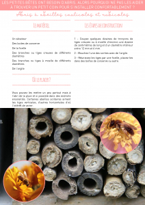 Activite-XI - Fabrication-d-abris-pour-les-auxiliaires_Page_1